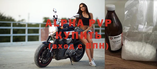 шишки Арсеньев