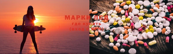 индика Армянск