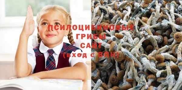 шишки Арсеньев