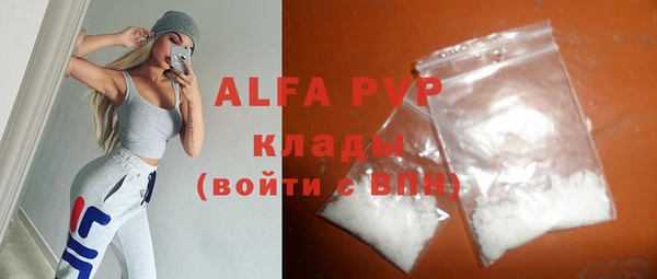 индика Армянск