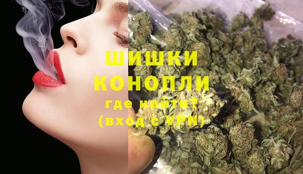 шишки Арсеньев