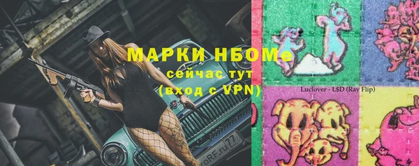 индика Армянск