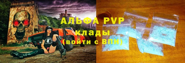 шишки Арсеньев