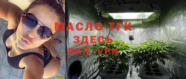 шишки Арсеньев