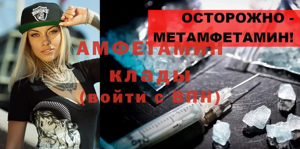 шишки Арсеньев