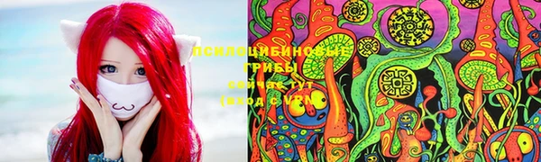 шишки Арсеньев