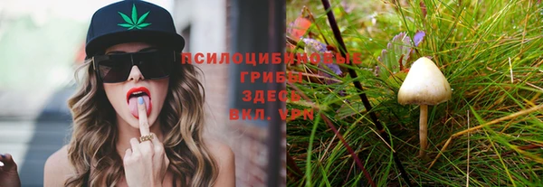 индика Армянск